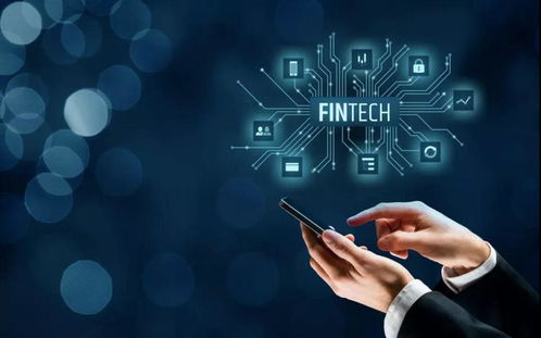 掌閱科技連板背后的力量 信息技術咨詢服務的崛起與資本市場的熱捧